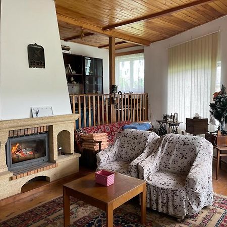 Casa Adelina Villa Valea Lunga-Cricov ภายนอก รูปภาพ