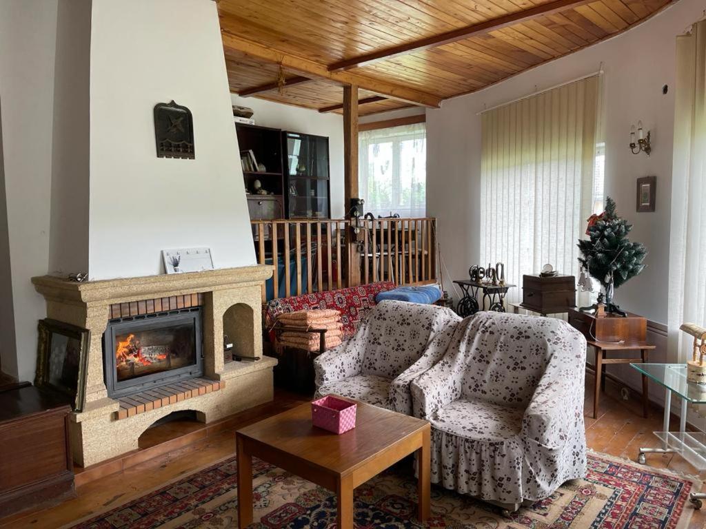 Casa Adelina Villa Valea Lunga-Cricov ภายนอก รูปภาพ