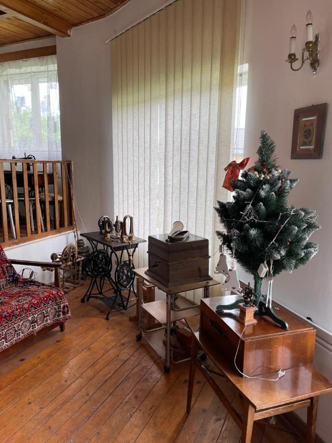 Casa Adelina Villa Valea Lunga-Cricov ภายนอก รูปภาพ