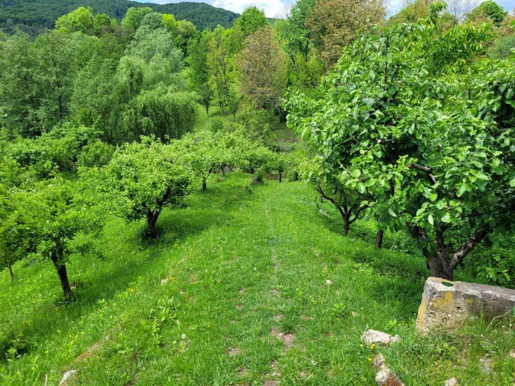 Casa Adelina Villa Valea Lunga-Cricov ภายนอก รูปภาพ