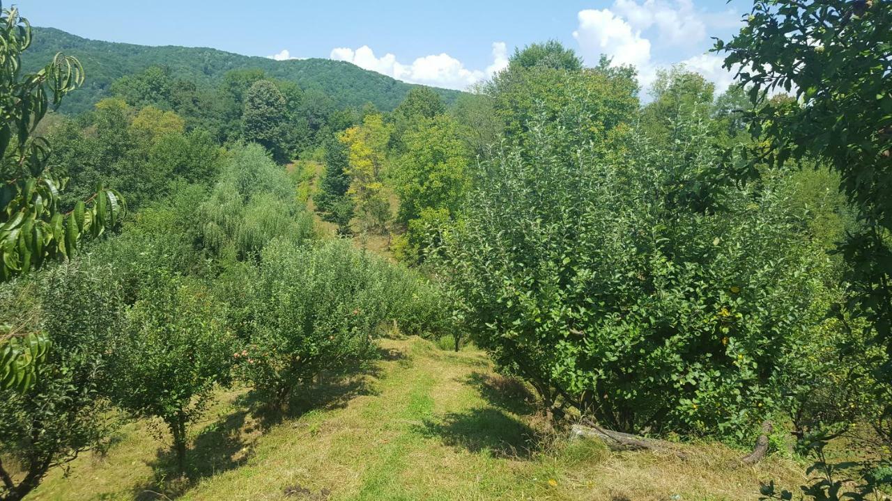 Casa Adelina Villa Valea Lunga-Cricov ภายนอก รูปภาพ