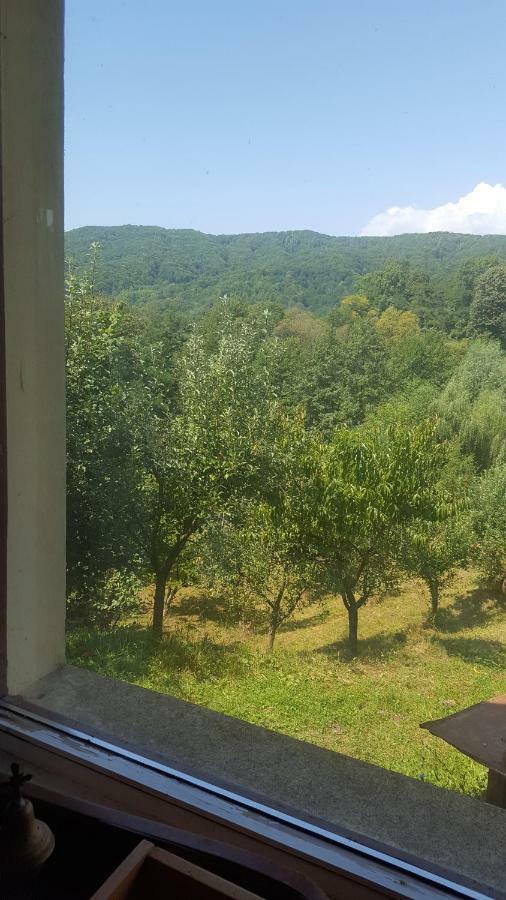 Casa Adelina Villa Valea Lunga-Cricov ภายนอก รูปภาพ
